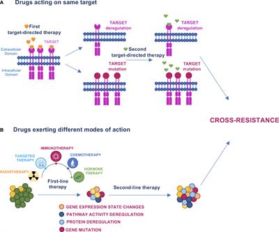 Cross-Resistance Among Sequential Cancer Therapeutics: An Emerging Issue